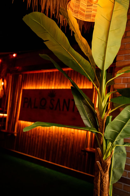 Palo Santo signage glowing behind tropical greenery